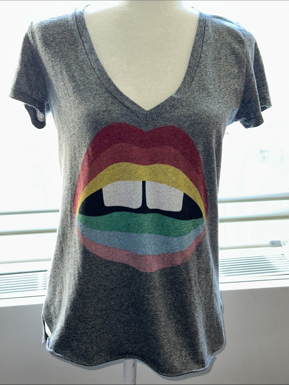 Lauren Moshi Classic Gray V-Neck Tee with Rainbow Lip Graphic
